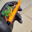 Small image 5
