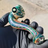 Small image 4
