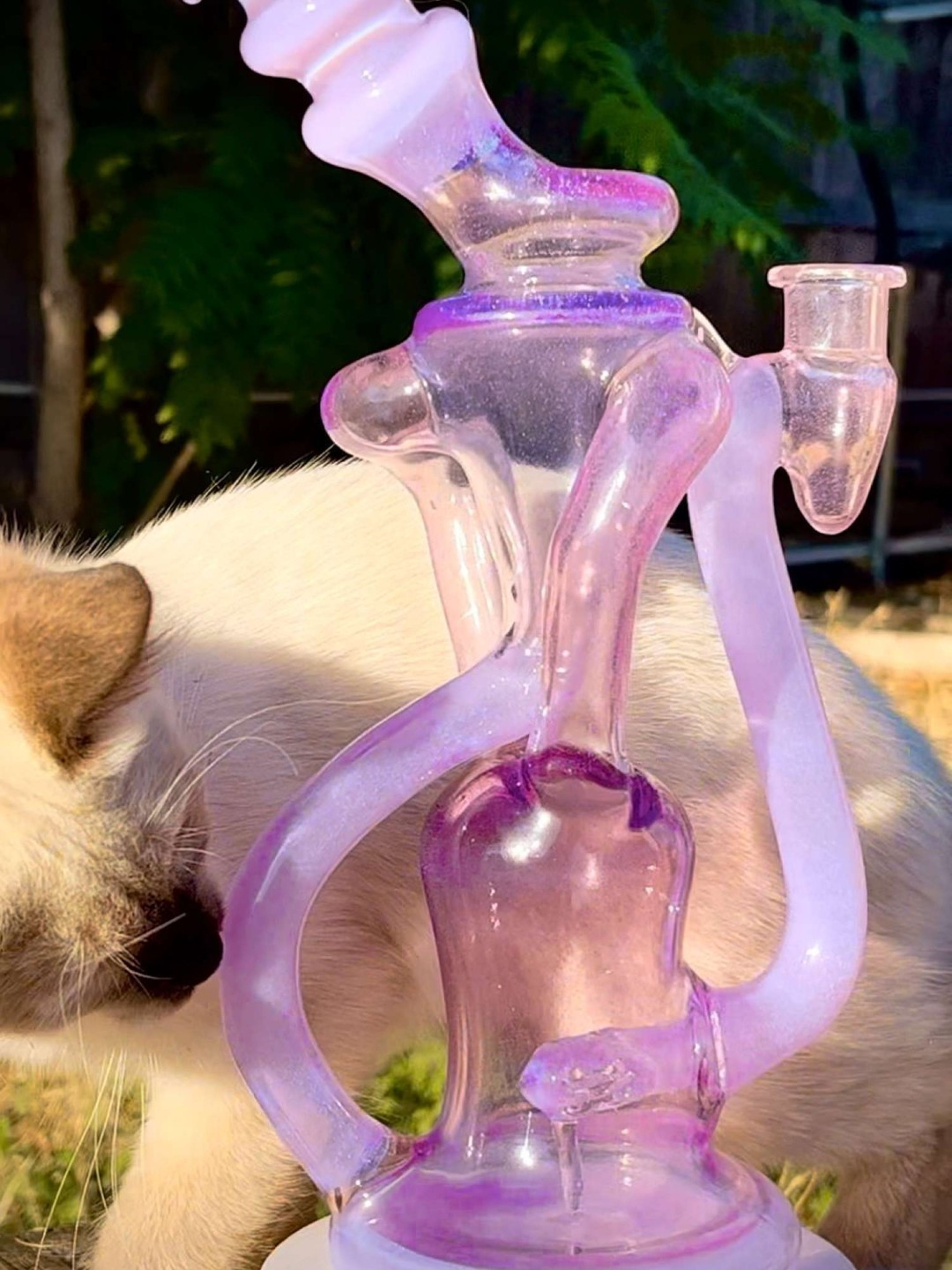 GMG Dual uptake Full size recycler image 0