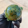 Small image 2