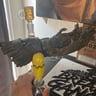Small image 4