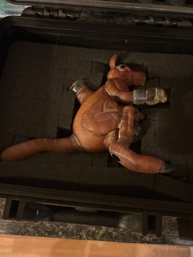 Preview pic of Down Under kangaroo