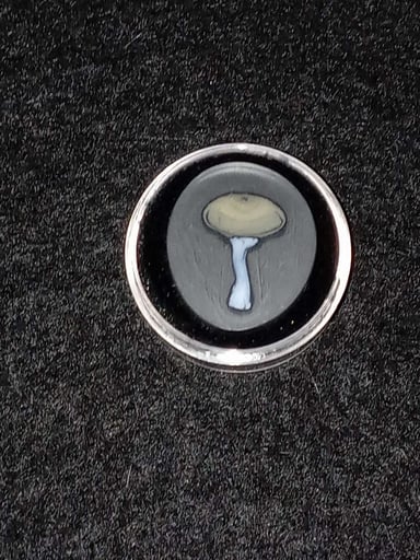 Preview pic of Mushroom Murrine Coin