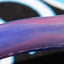 Small image 6