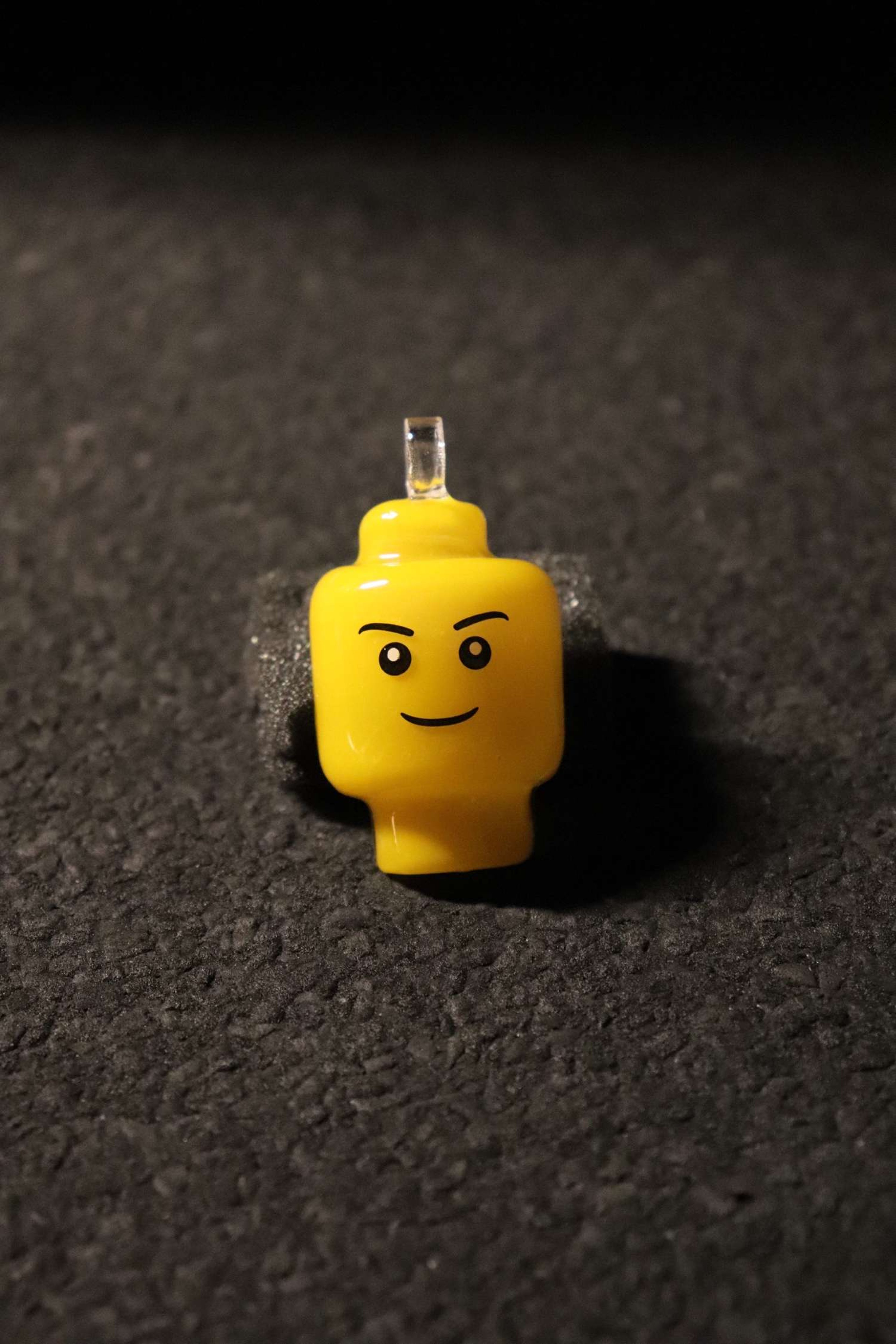 EF Norris 2016 Lego Portrait Pendant image 0