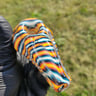 Small image 3