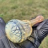 Small image 5