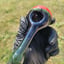 Small image 3