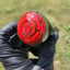 Small image 4