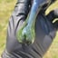Small image 7