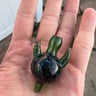 Small image 2