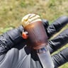 Small image 4