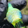 Small image 3