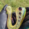 Small image 4