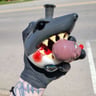 Small image 6