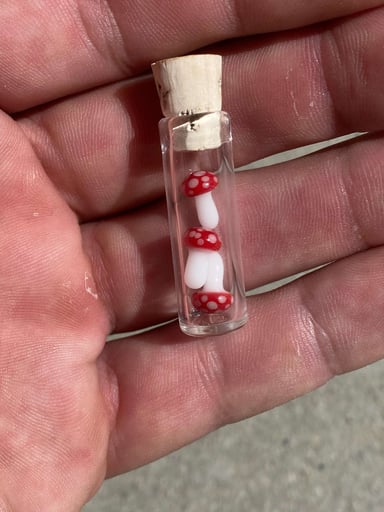 Preview pic of Terpshrooms (Amanita)
