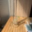 Small image 6