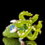 Small image 7