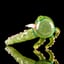 Small image 7