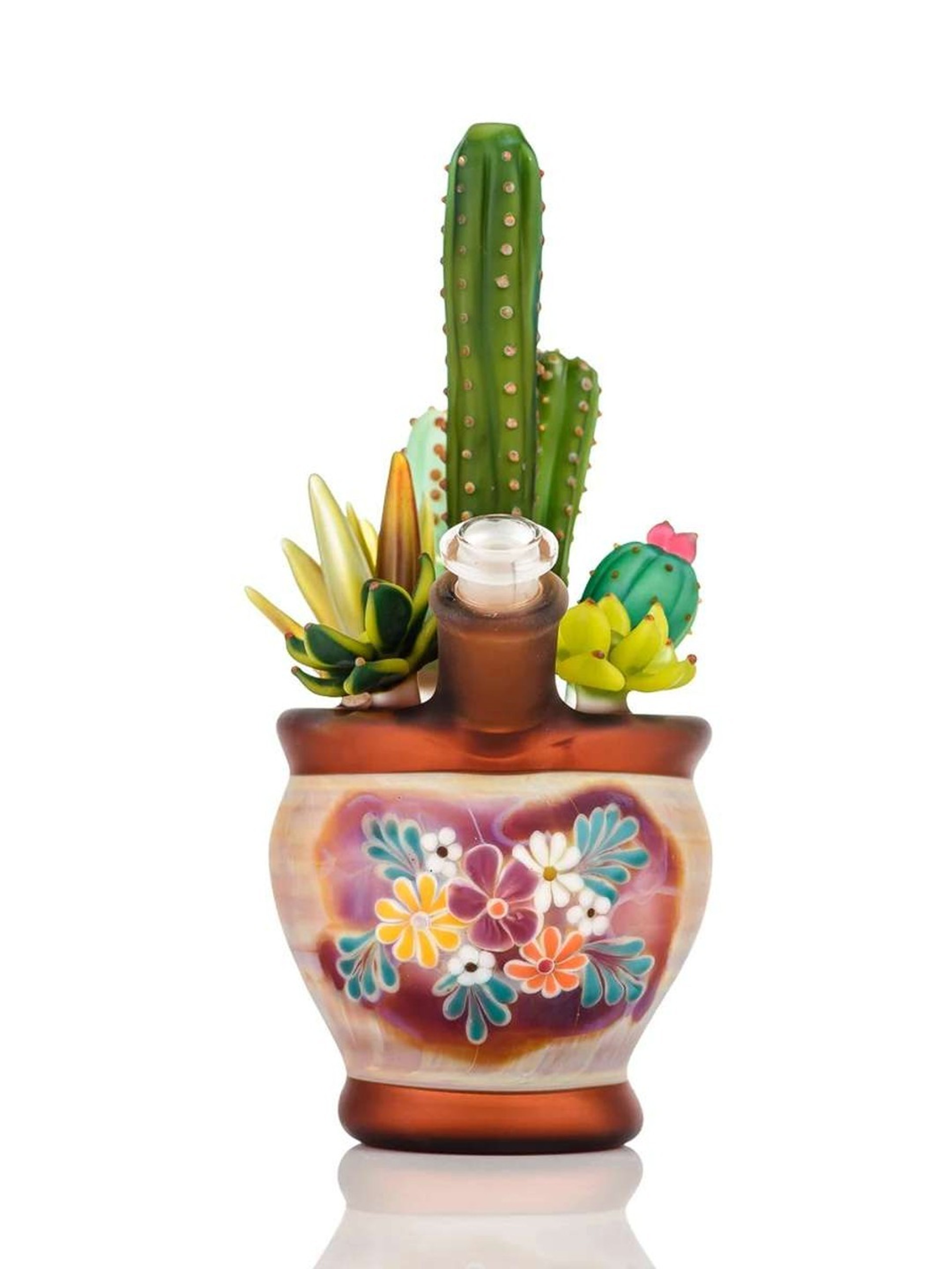Sarita X Turtle Time Cactus Rig image 0