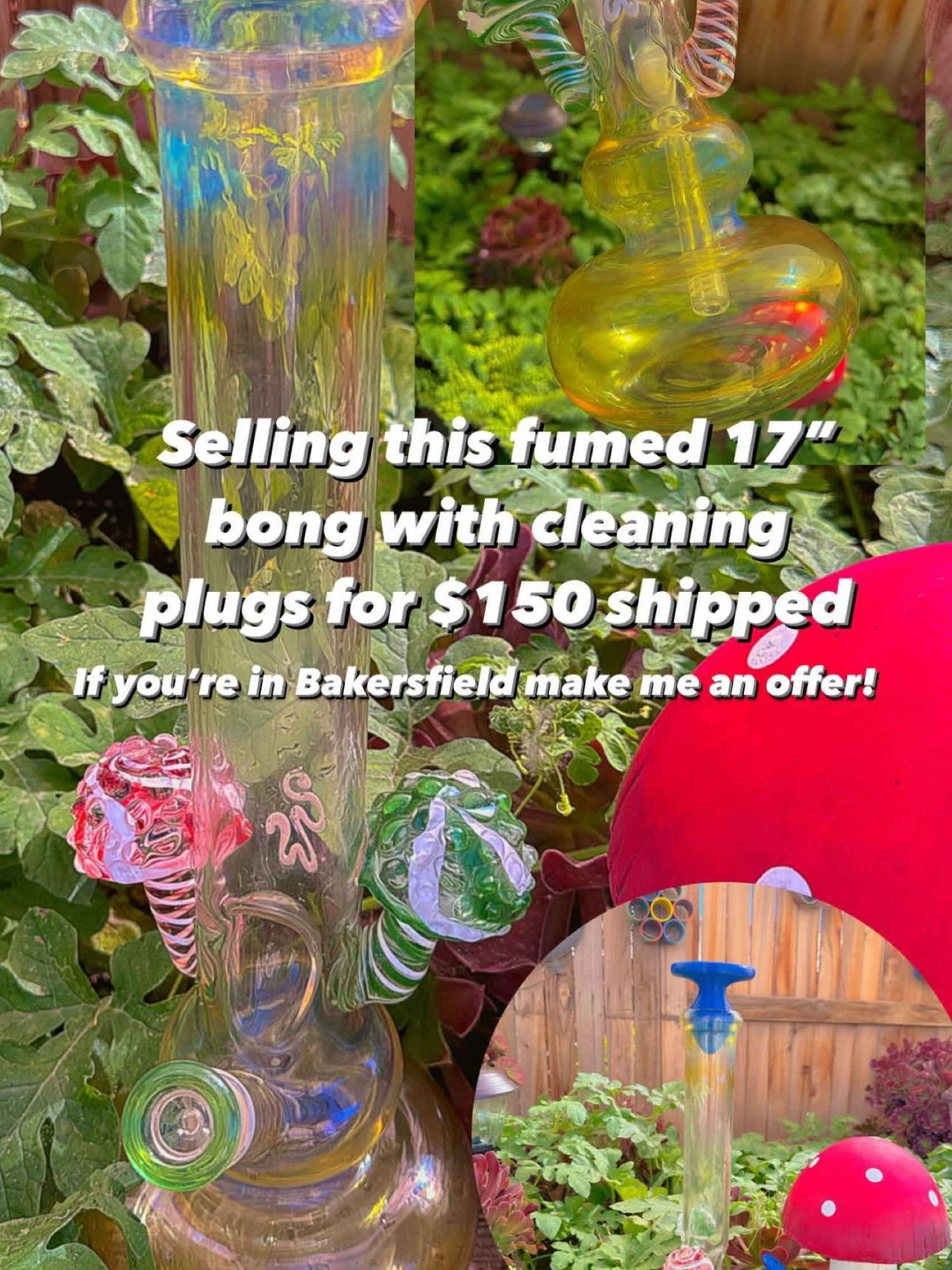 Mushroom Bong With Butt Plug Cleaning Plugs image 0