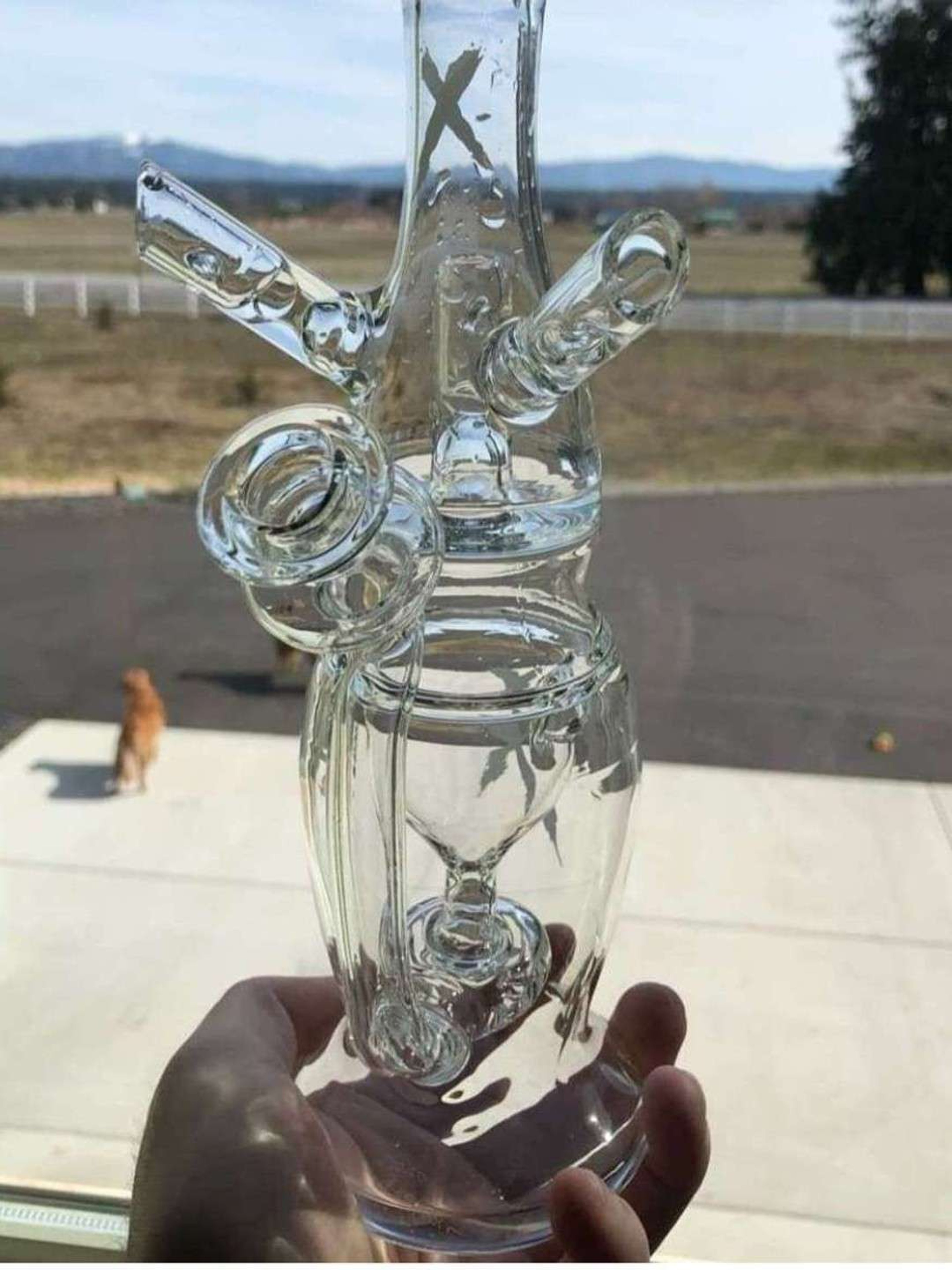 Preview pic of Ramickelson exhalecycler