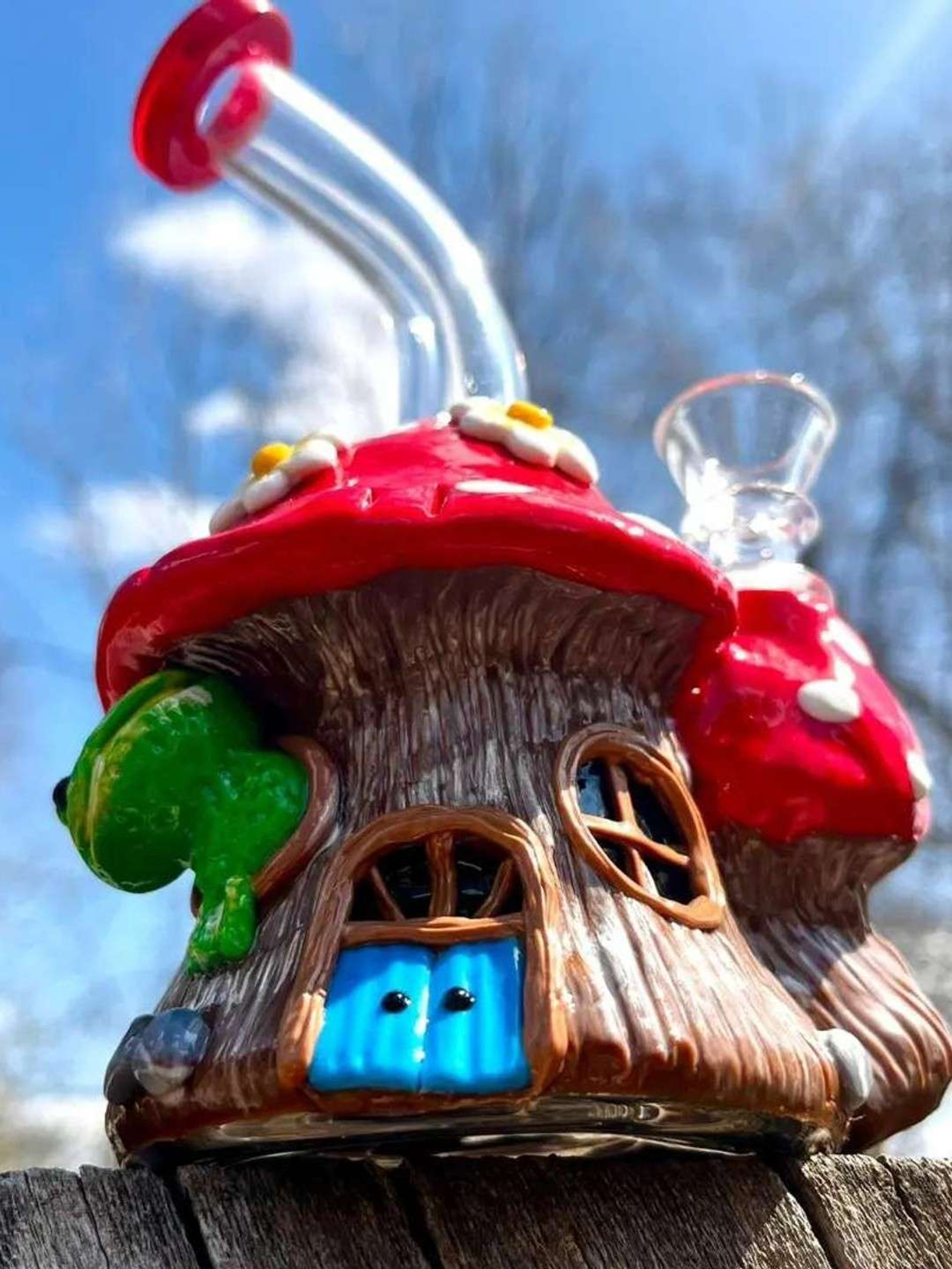 Preview pic of 7" Froggy Glass Ceramic Rig