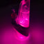 Small image 7