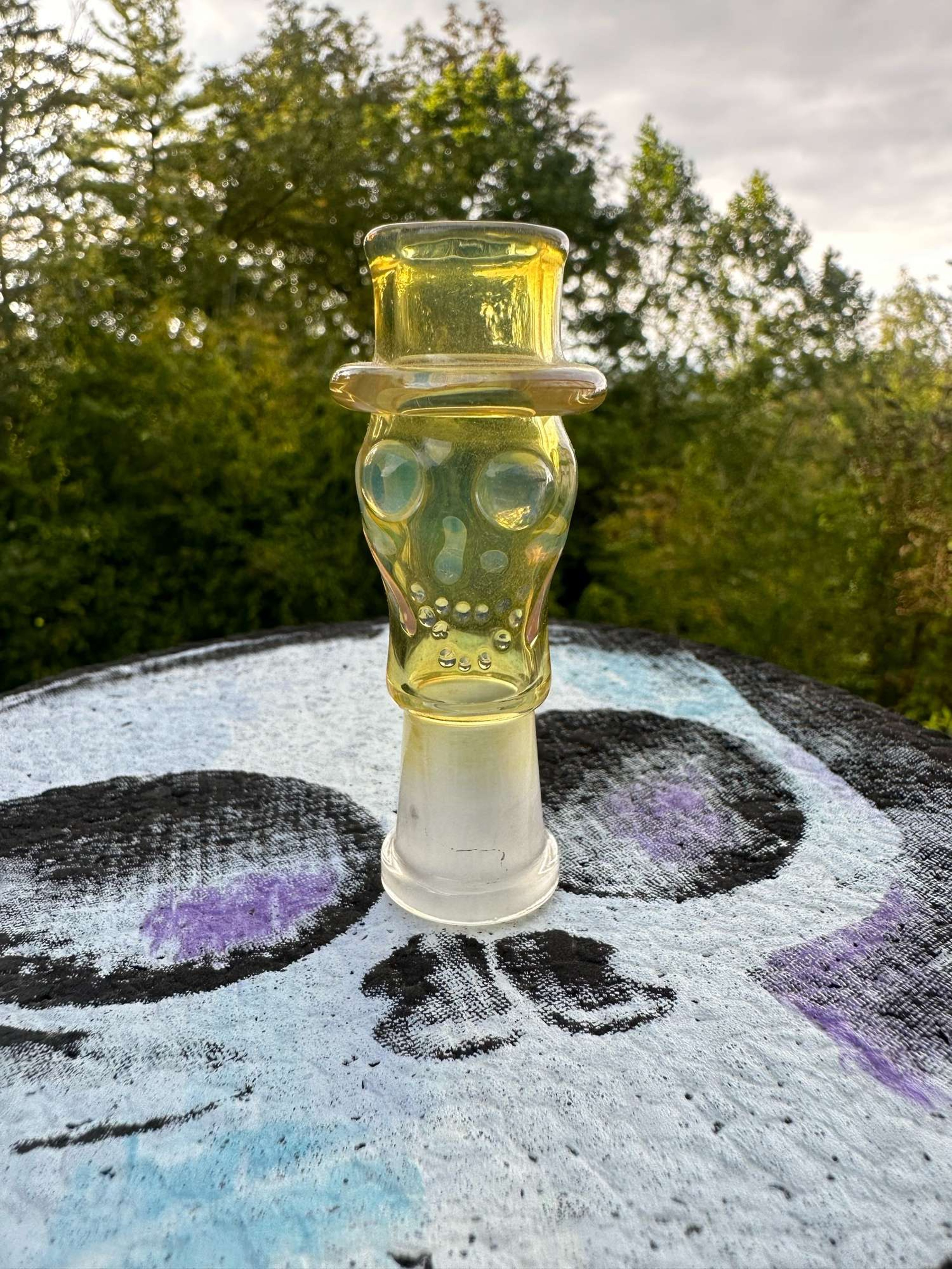 Preview pic of Bob Snodgrass Dome