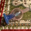Small image 8