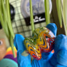 Small image 2