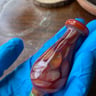 Small image 3