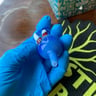 Small image 4