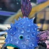 Small image 1
