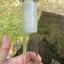 Small image 8