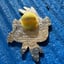 Small image 6