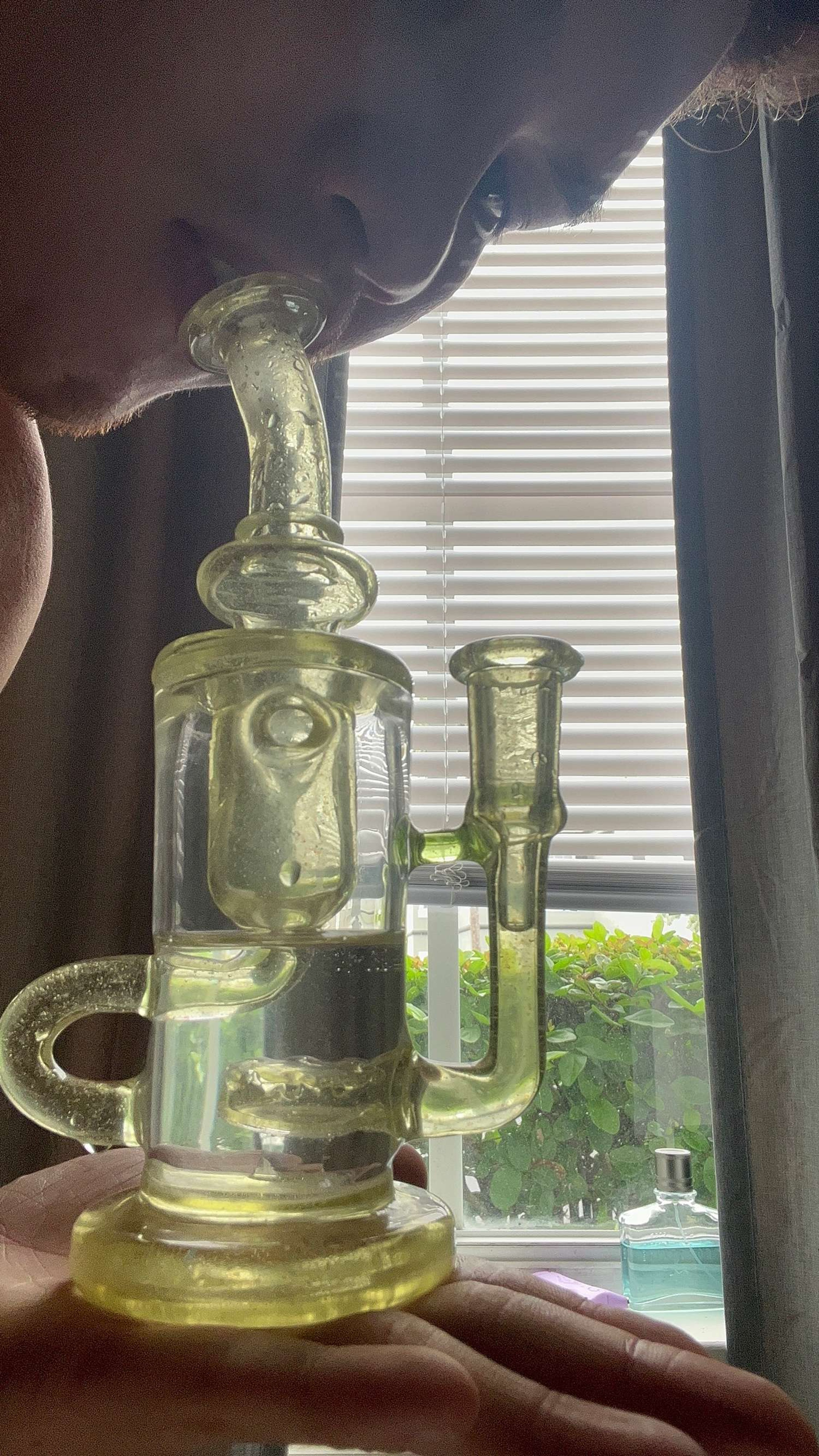 lemon drop cropal torus image 0