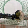 Small image 3