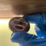 Small image 4