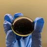 Small image 6