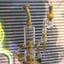 Small image 6
