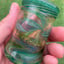Small image 4