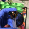 Small image 4