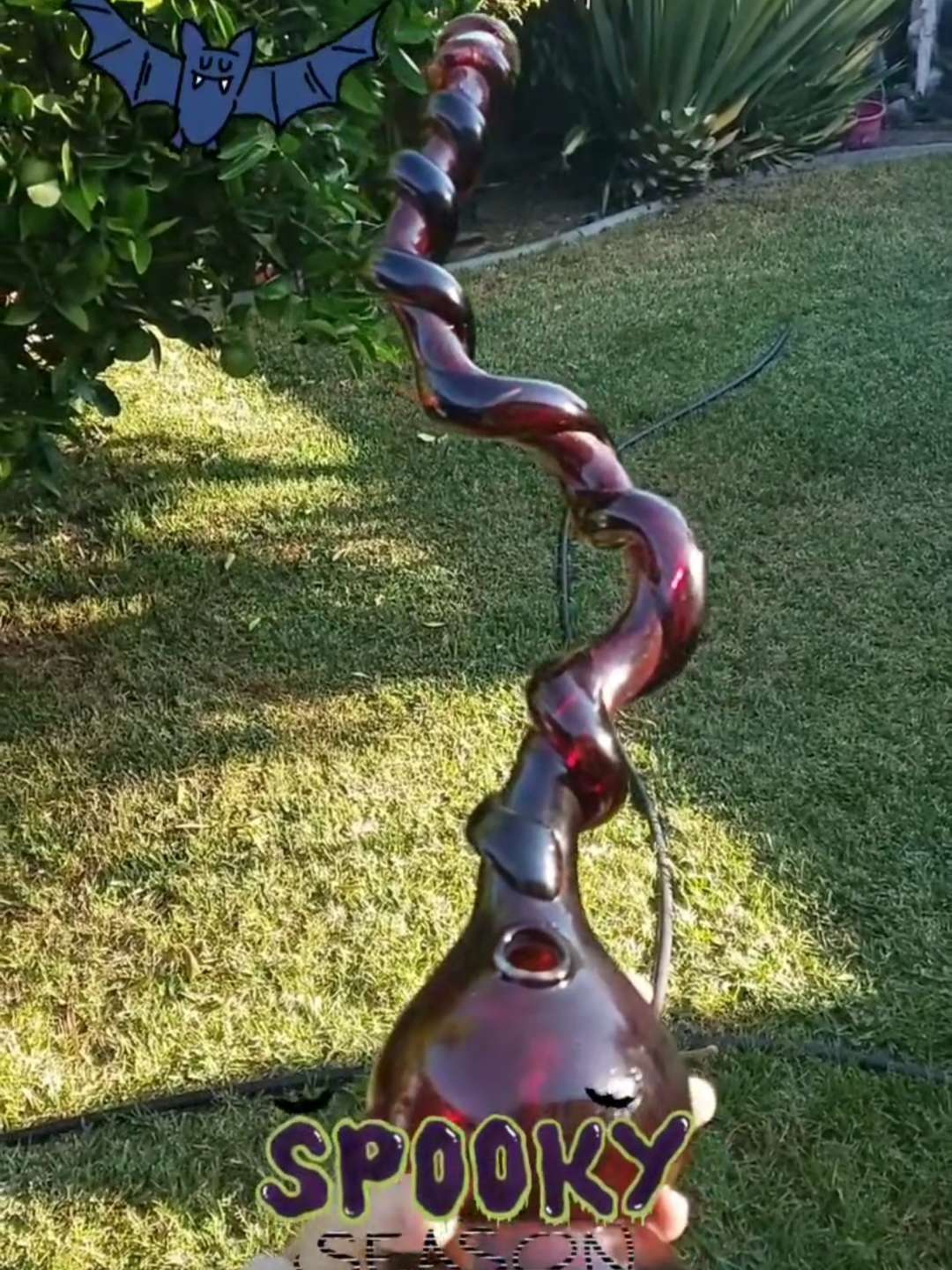 Preview pic of Blood Red tall Swirled 