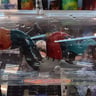 Small image 6