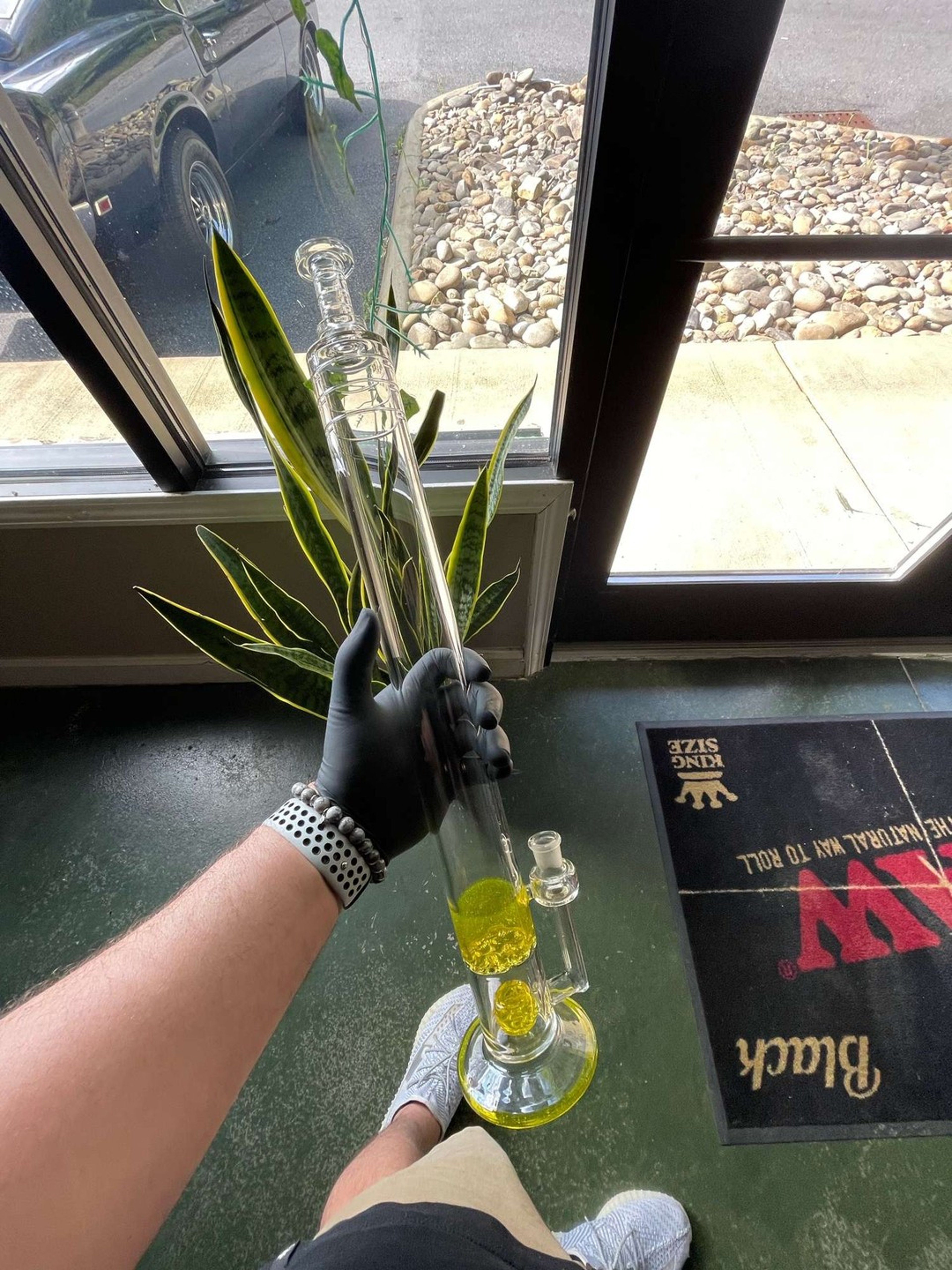 Preview pic of Cfl flower tube curry goat glass