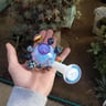 Small image 3
