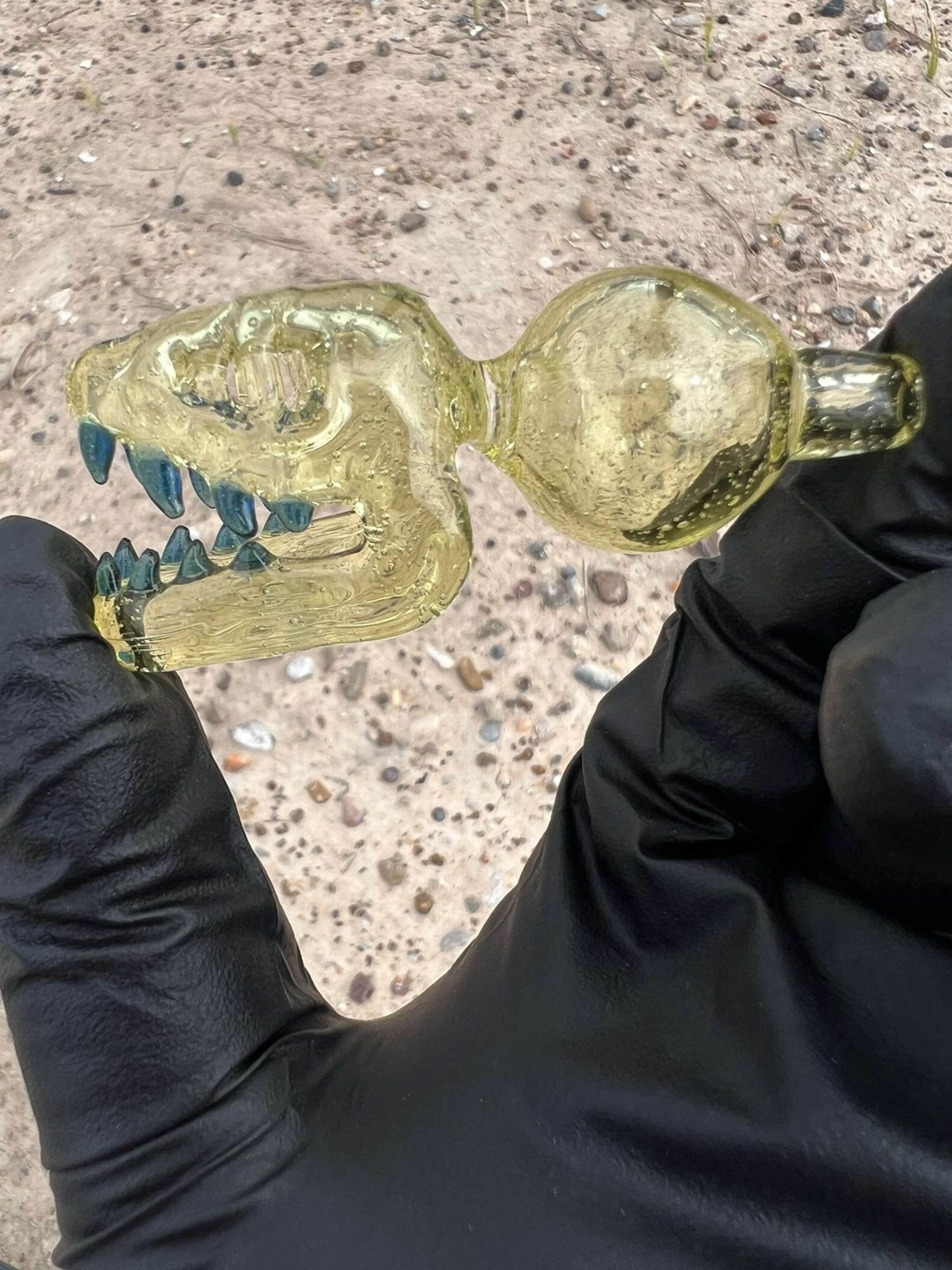 New Kerm Glass Dino head Caps image 0