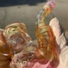 Small image 0