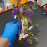 Small image 1